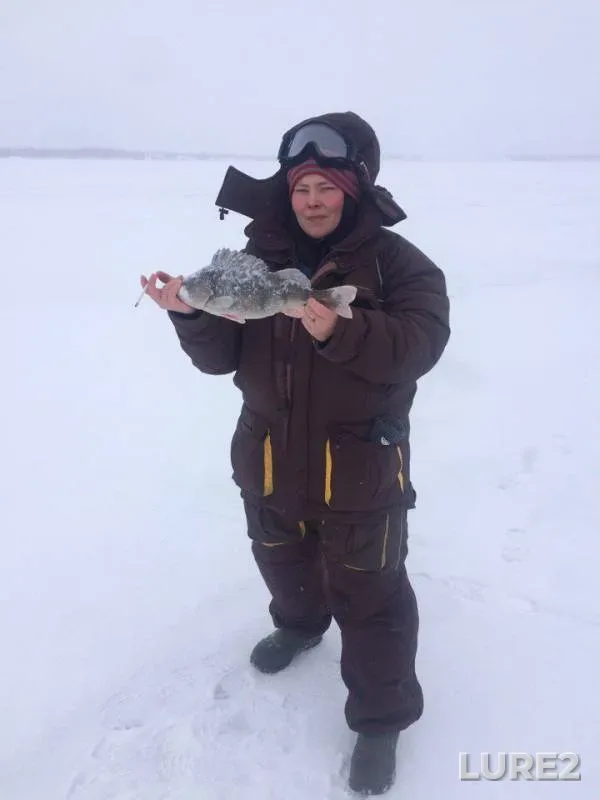 Perch — Volga, Jan 17, 2018