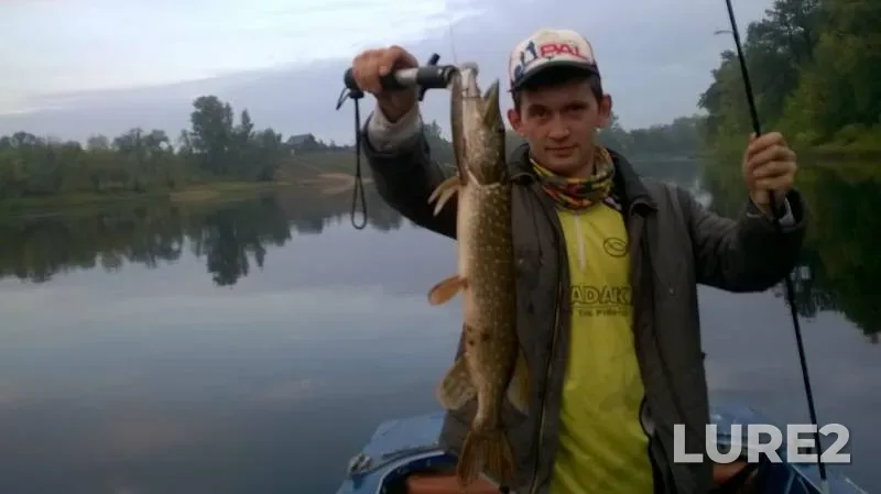 Pike — Saratovskaya oblast, Oct 08, 2016