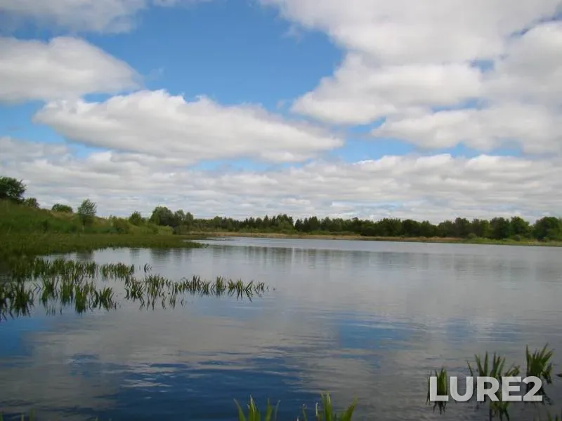 Crucian carp — Relskoye, Jun 19, 2018