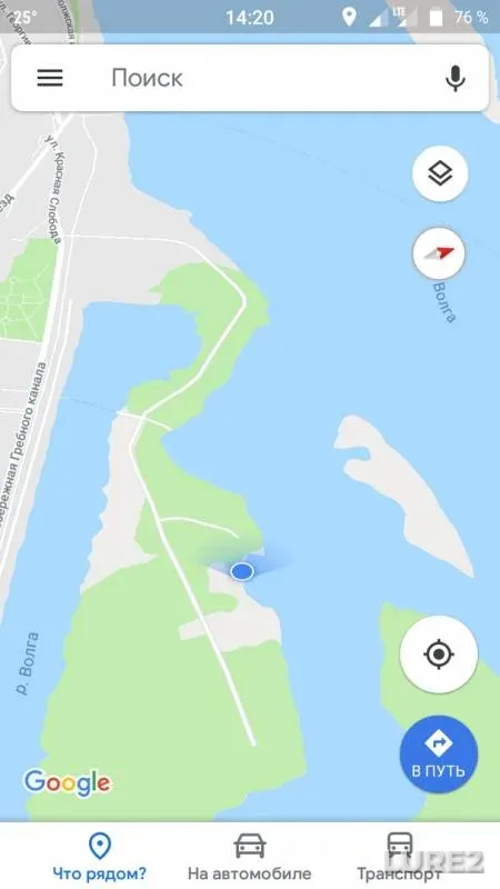 Crucian carp — Grebnoy kanal, Aug 20, 2018
