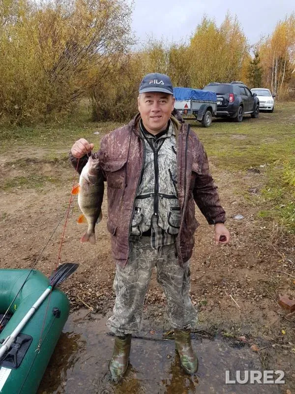 Perch — Volga, Oct 16, 2018