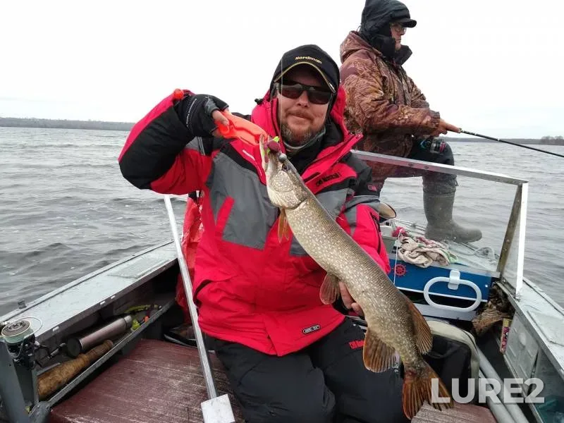 Pike — Volga, Nov 02, 2018