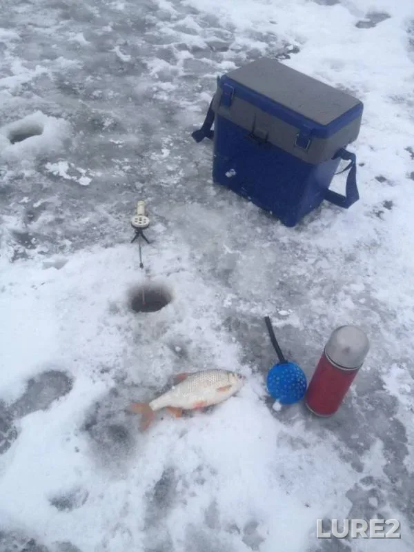 Bream, Roach — Klyazma, Nov 25, 2018