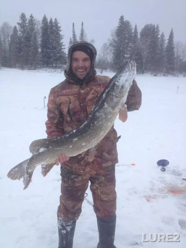 Pike — Gubdorskoye, Nov 10, 2019