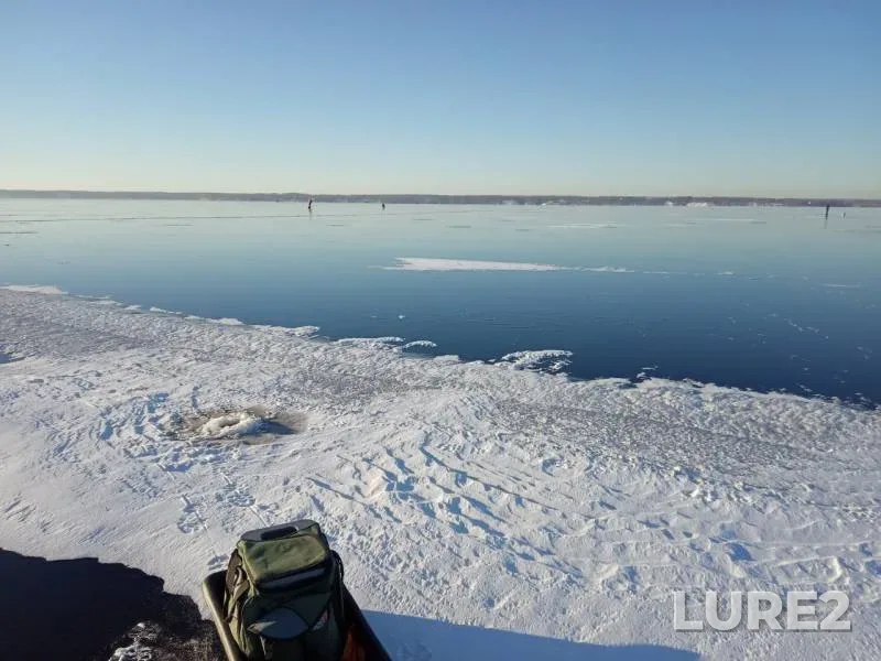 Perch — Volga, Dec 01, 2018