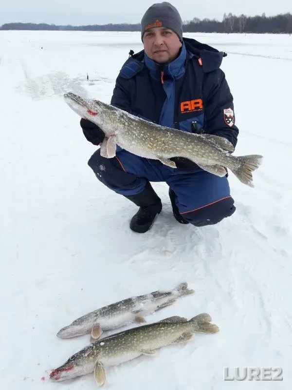 Pike — Nizhegorodskaya oblast, Dec 07, 2018