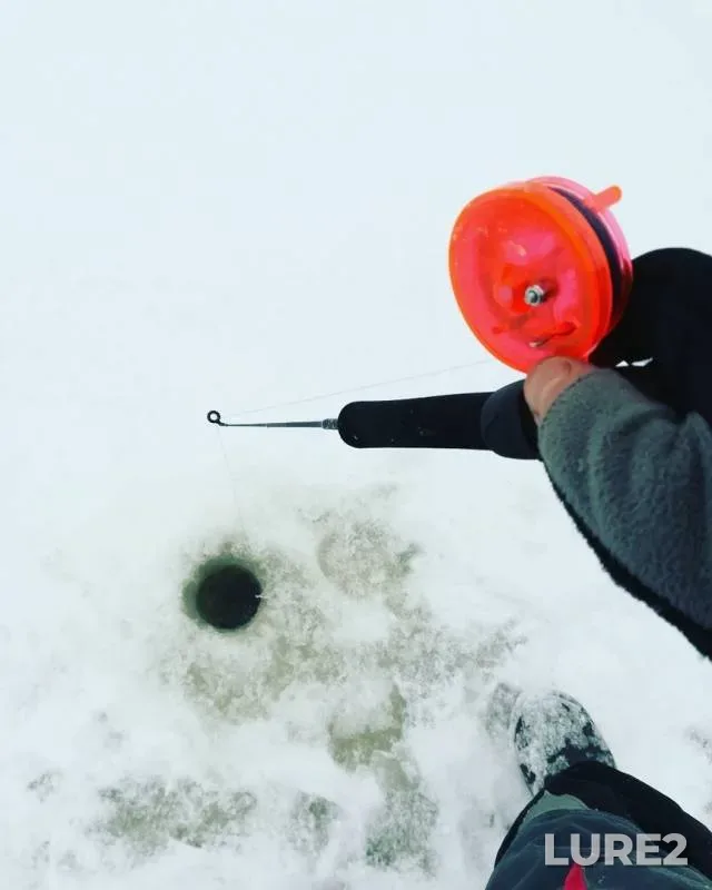 Perch — Vetluga, Dec 20, 2018