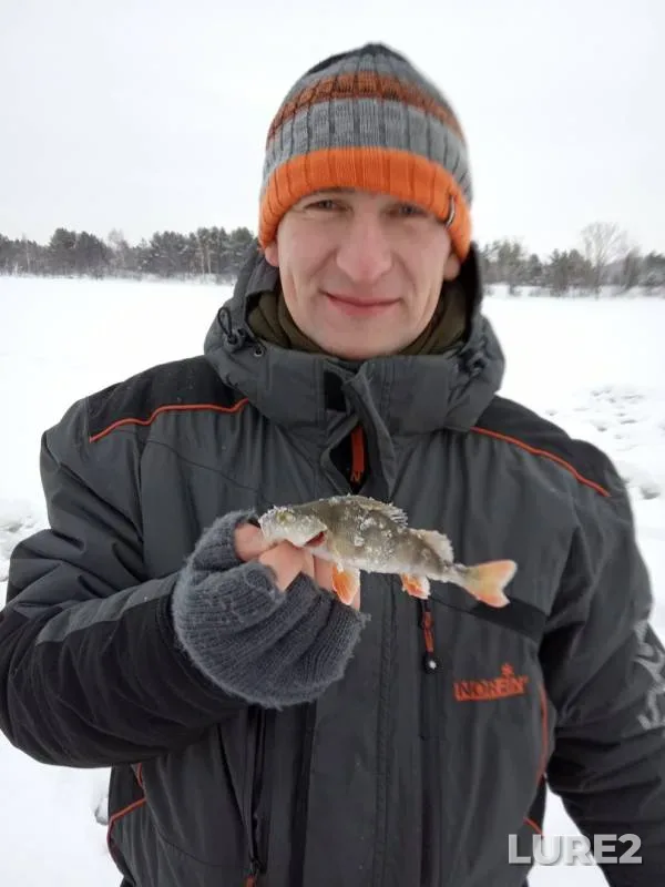 Perch — Volga, Jan 12, 2019