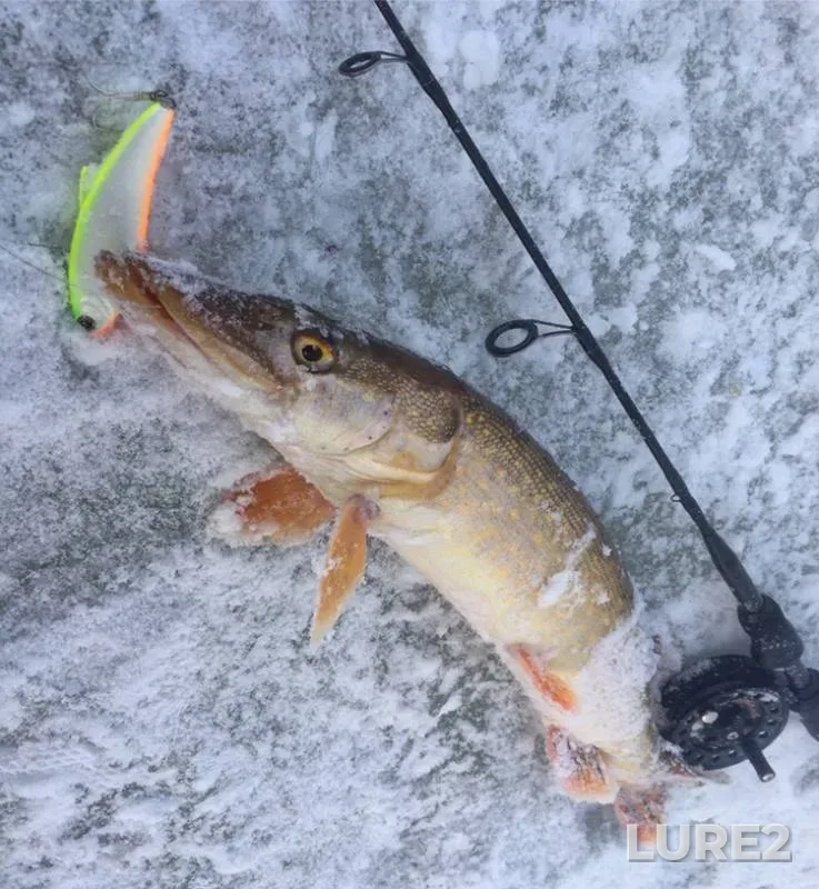 Pike — Oka, Mar 25, 2019