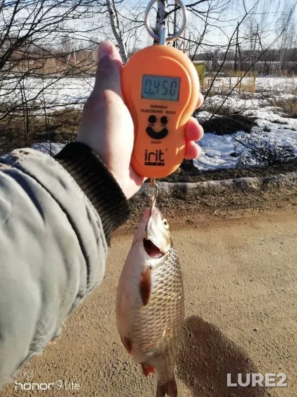 Roach — Gorkovskoye, Apr 03, 2019
