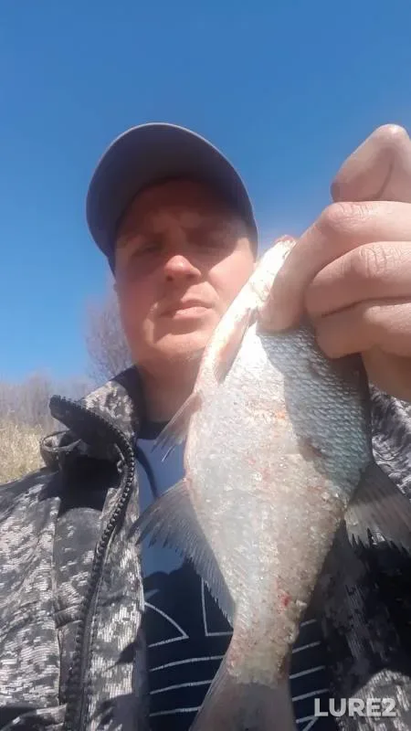 Bream, Roach — Oka, Apr 21, 2019