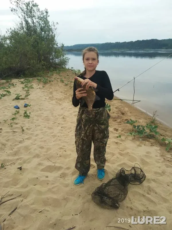 Bream — Aches, Jul 28, 2019