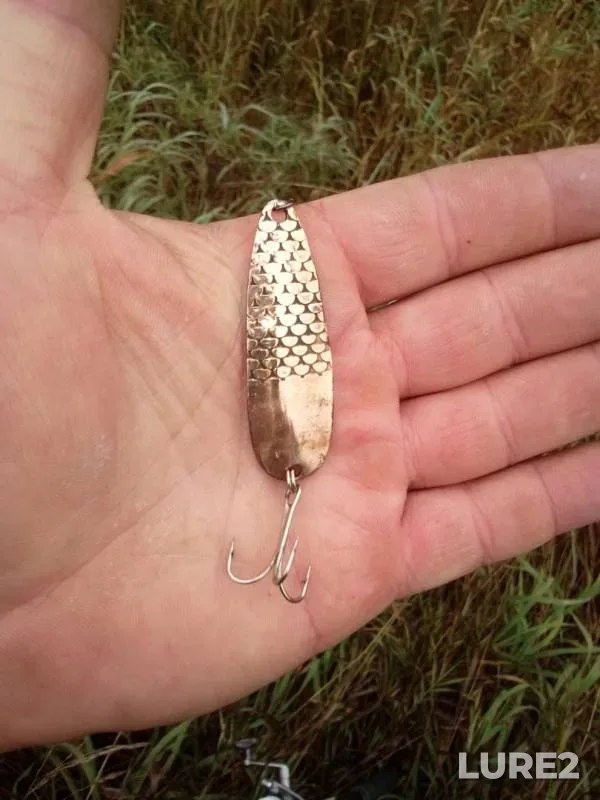 Perch, Pike — Kerzhenets, Sep 15, 2019