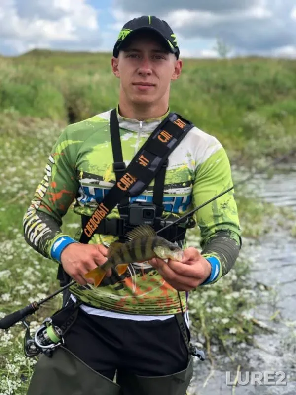 Perch — Ryazanskaya oblast, Mikhaylovskiy rayon, Jul 22, 2019