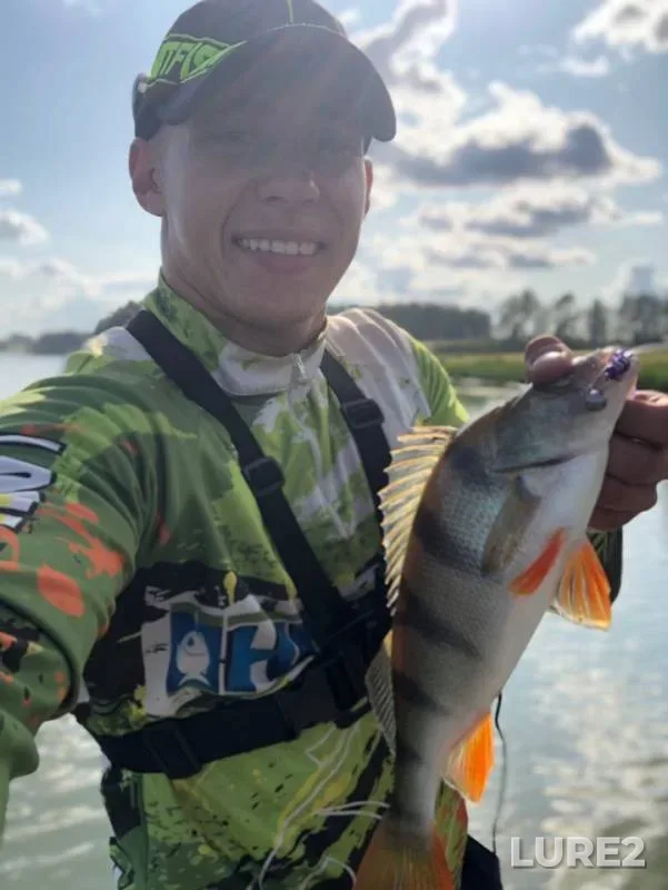 Perch — Kubylinka, Jul 21, 2019