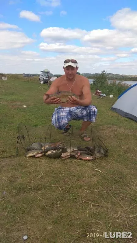 Bream, Crucian carp — Ryazanskaya oblast, Aug 26, 2019