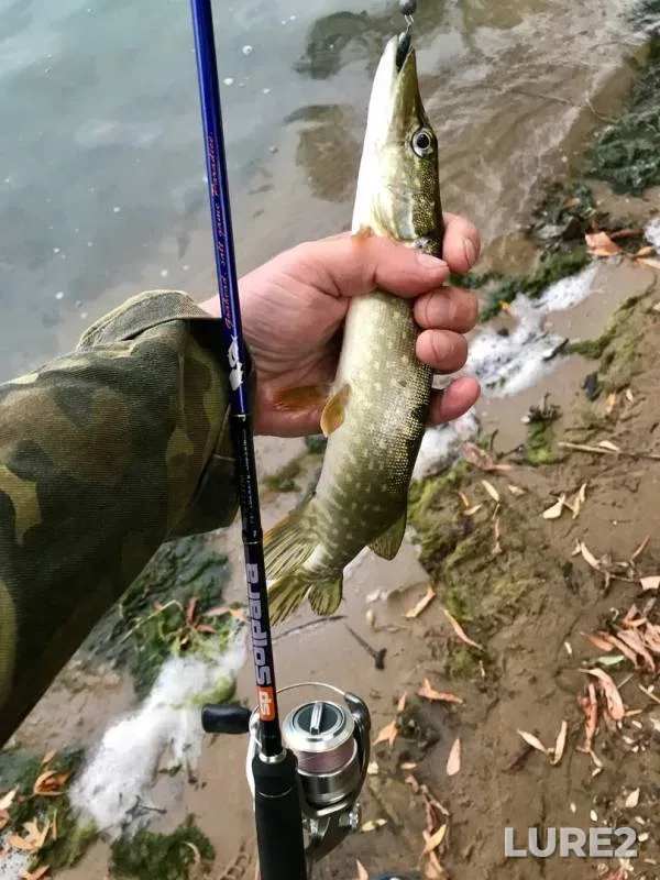 Pike — Tretiy Borkovskoy karyer, Sep 05, 2019