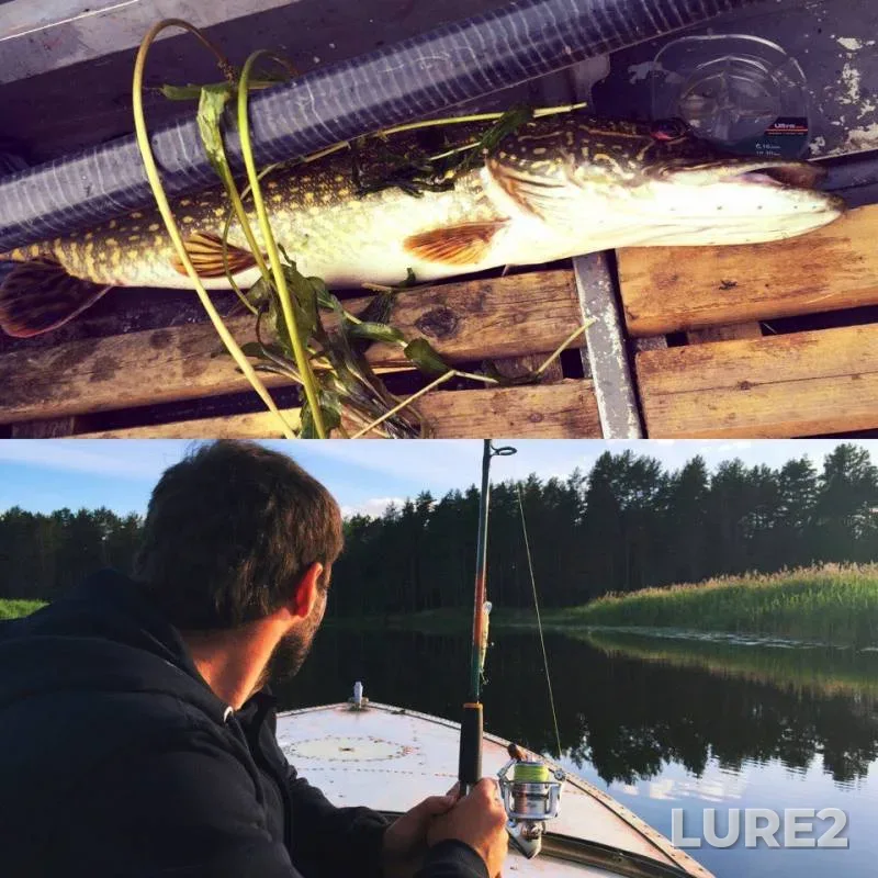 Pike — Selizharovka, Jun 16, 2016