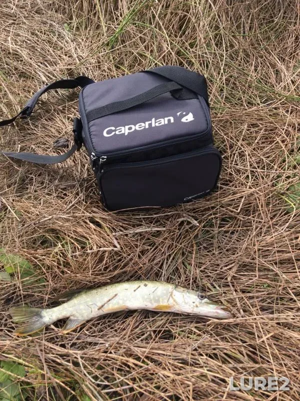 Pike — Aleshenka, Sep 28, 2019