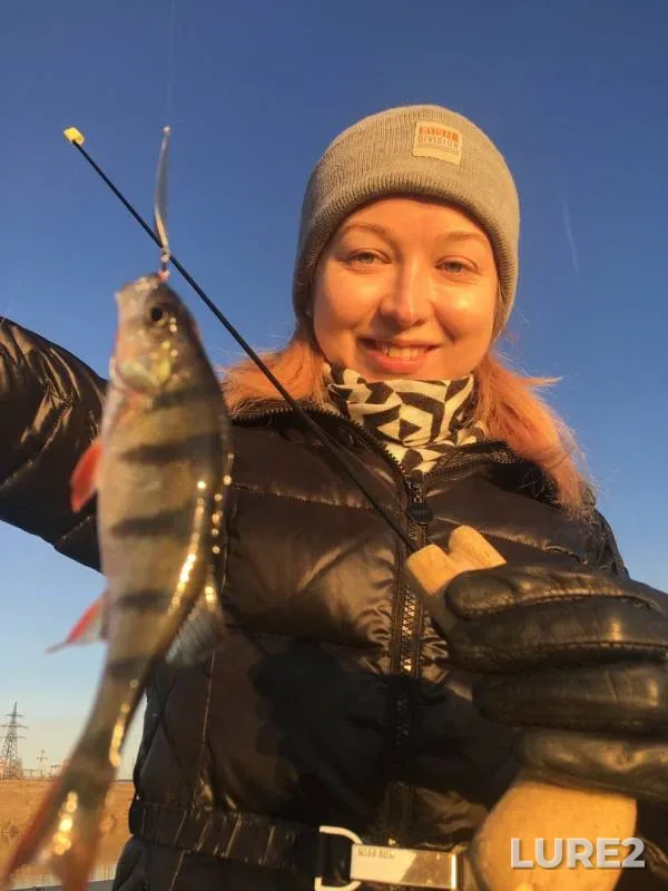 Perch — Kholodurovka, Nov 13, 2019