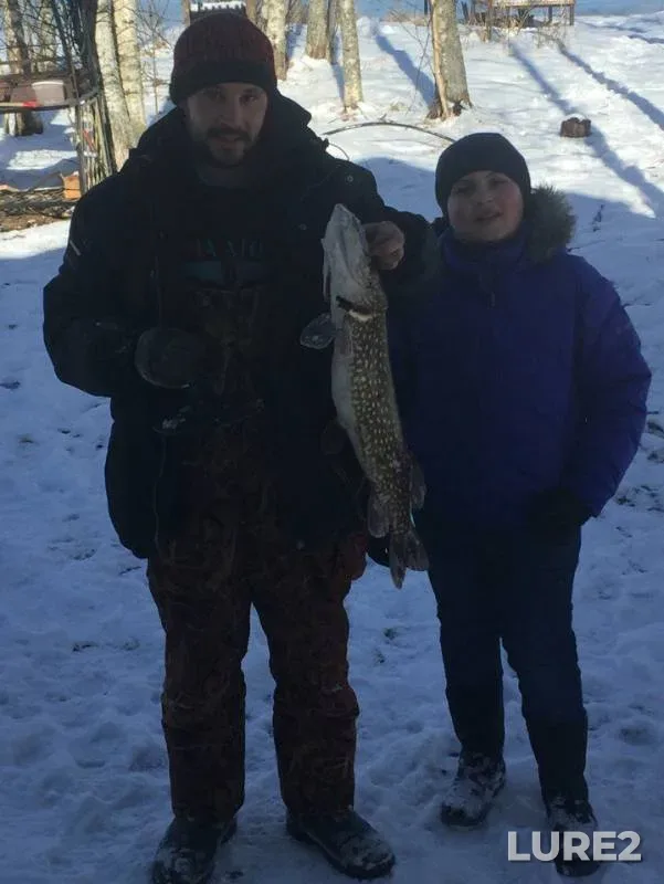 Pike — Selizharovka, Mar 23, 2016