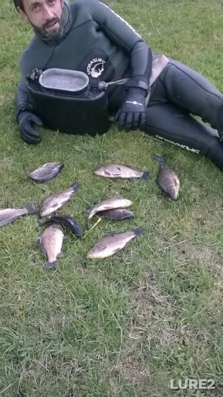 Crucian carp — Kazanchezh, Jun 02, 2019