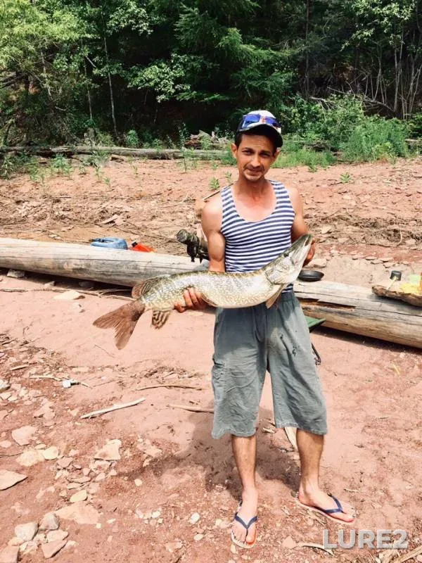 Pike — Krasnoyarskoye, Jun 24, 2019