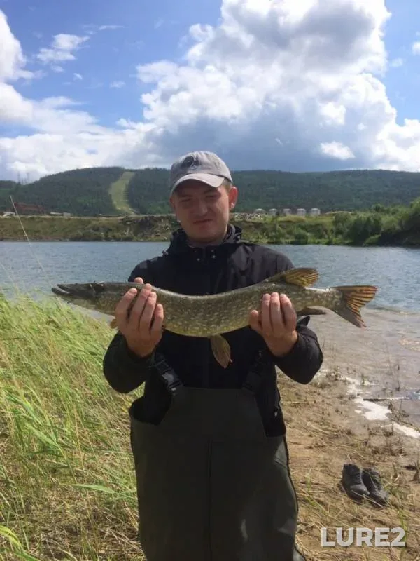 Pike — Krasnoyarskiy kray, Jul 07, 2019