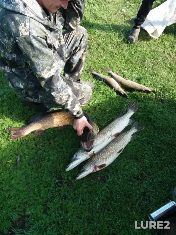 Pike — Angara, Jul 19, 2019