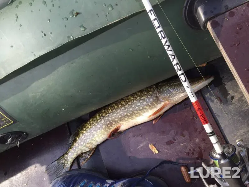 Pike — Yesaulovka, Sep 27, 2019