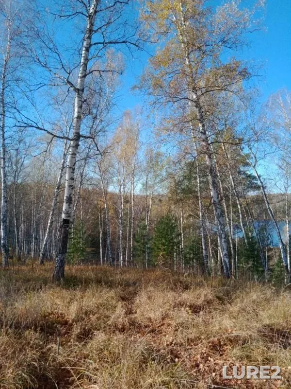 Pike — Yesaulovka, Oct 02, 2019