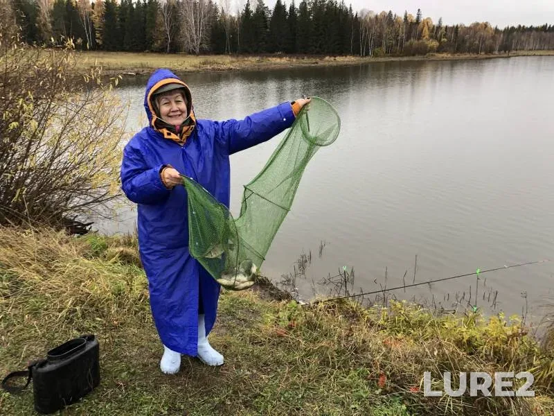 Crucian carp — Lakino, Oct 07, 2019