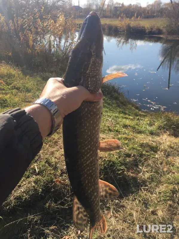 Pike — Yesaulovka, Oct 10, 2019