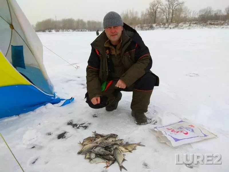 Bream, Roach — Abakanskaya protoka, Nov 21, 2019