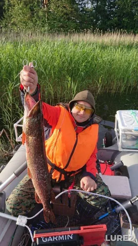 Pike — Leningradskaya oblast, Vyborgskiy rayon, Jun 06, 2018