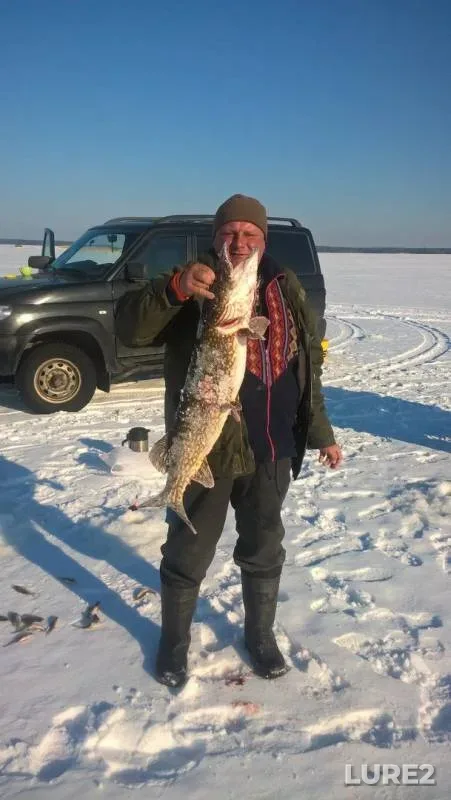 Pike — Respublika Kareliya, Lakhdenpokhskiy rayon, Mar 02, 2019