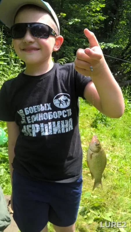 Crucian carp — Smolenskaya oblast, Jun 30, 2018
