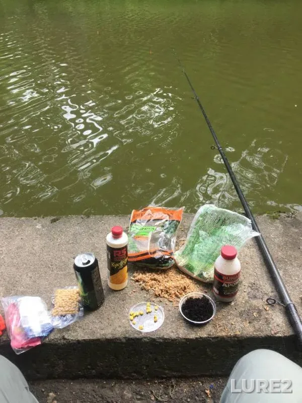Carp — Churilovka, Jul 08, 2018