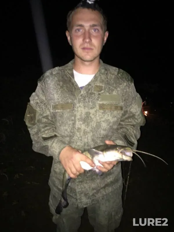 Wels catfish — Klovka, Sep 23, 2018