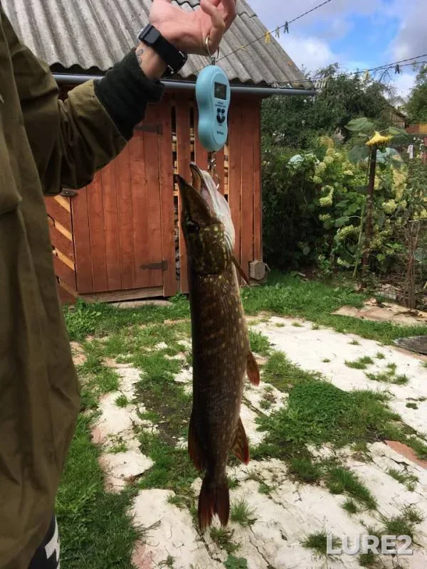 Pike — Mutnoye, Sep 23, 2018