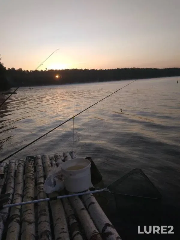 Bream, Perch — Desna, Aug 27, 2018