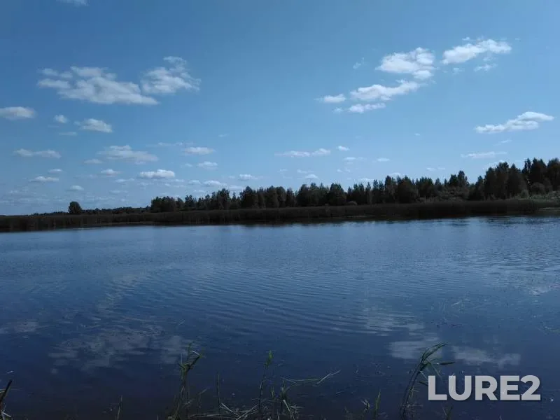 Crucian carp — Rybkhoz, Aug 18, 2018