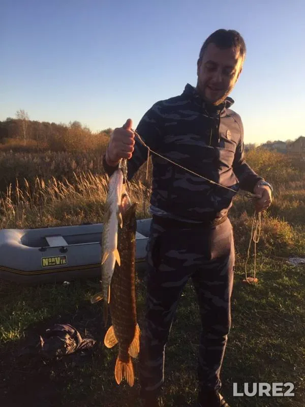 Pike — Vop, Oct 16, 2018