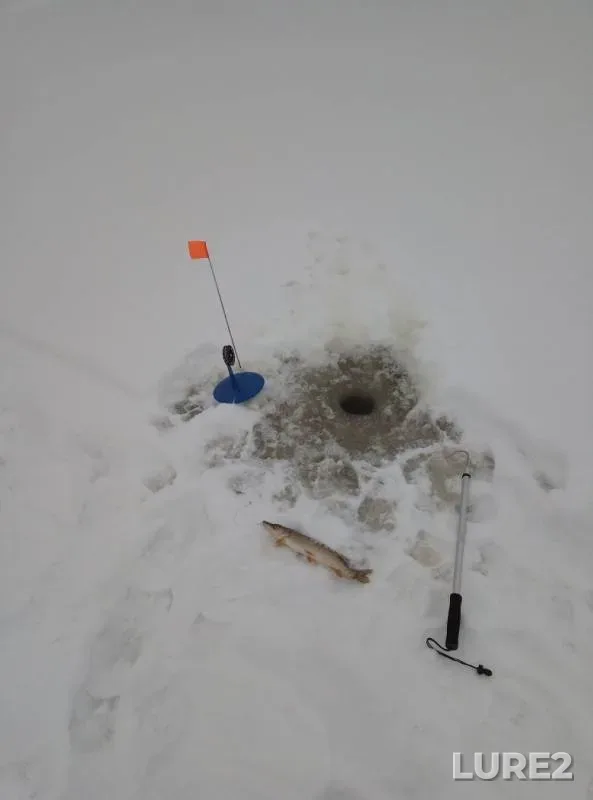 Pike — Borovaya, Dec 10, 2018