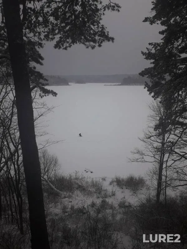 Bream — Sapsho, Dec 23, 2018