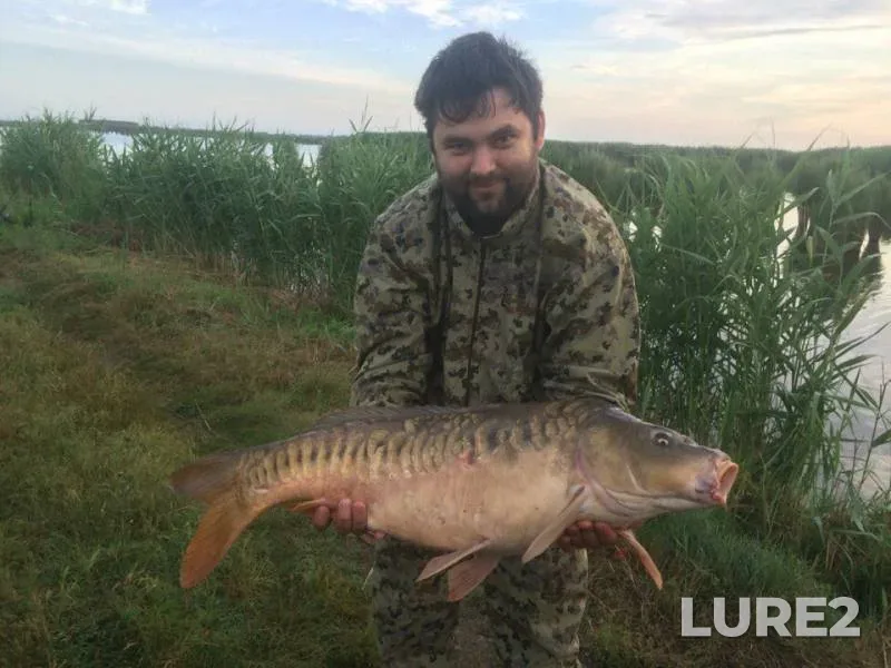 Carp — Krasnodarskiy kray, Jun 17, 2016