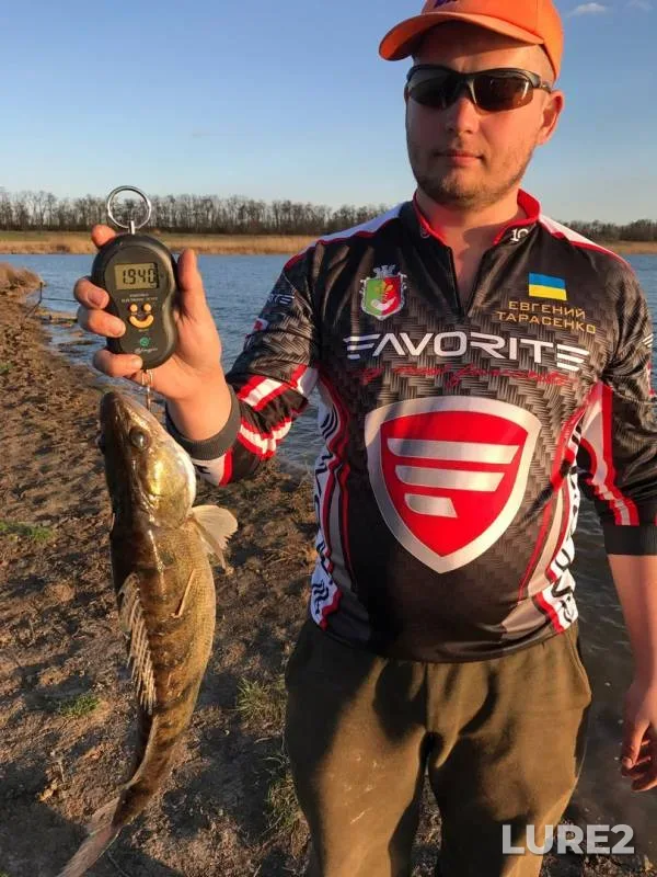 Crucian carp, Roach — Dnіpropetrovska oblast, Apr 18, 2017