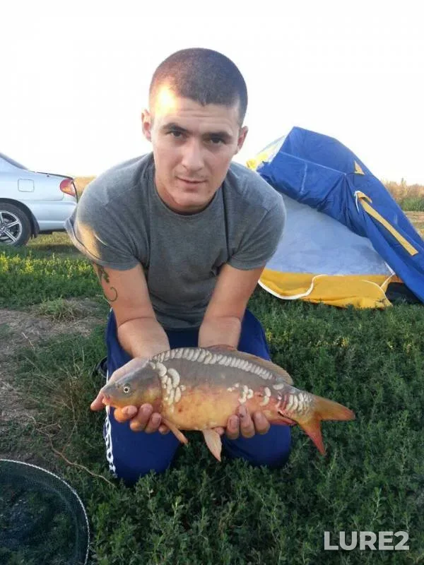 Carp — Kirpili, Aug 14, 2016
