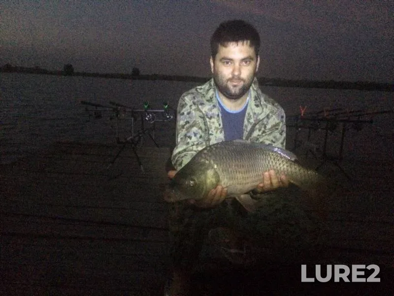 Carp — Krasnodarskiy kray, Sep 14, 2016