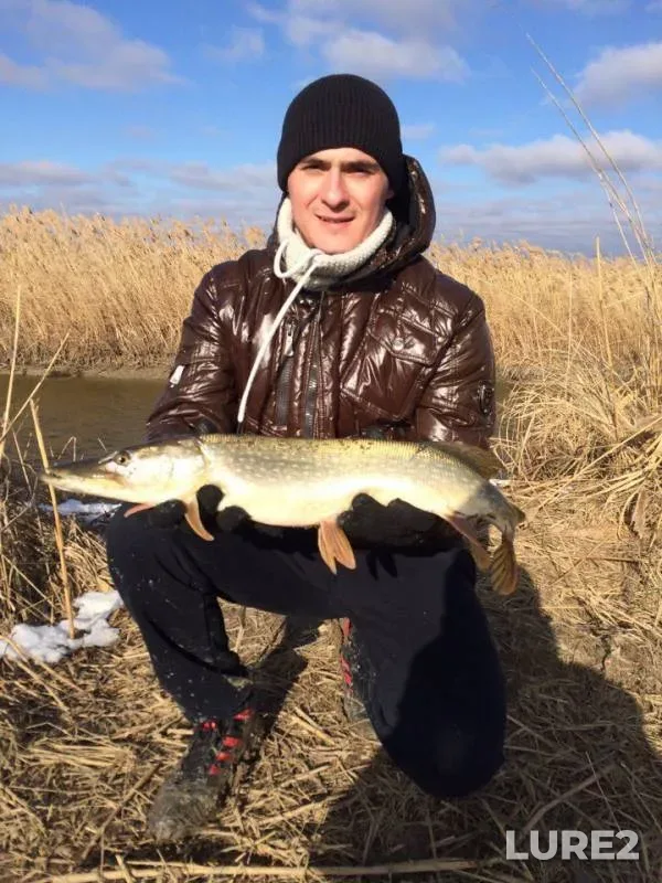 Pike — Beysug, Nov 20, 2016